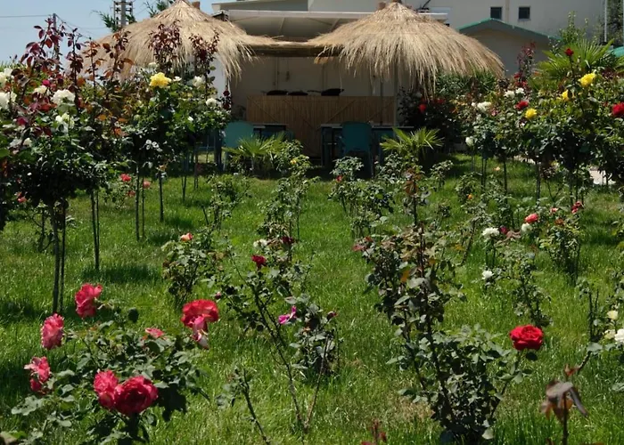 Summer Land 보르쉬